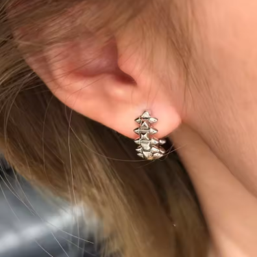 Silver Gold-Plated Women's Willow Nail Earrings Fashionable Classic Luxurious Exquisite Jewelry for Ladies